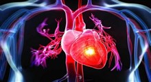 دلایل بزرگ شدن قلب یا کاردیومگالی و روش های درمان این بیماری قلبی