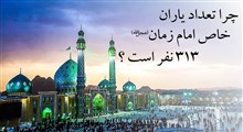 چرا تعداد یاران خاص امام زمان(عج) 313 نفر است؟