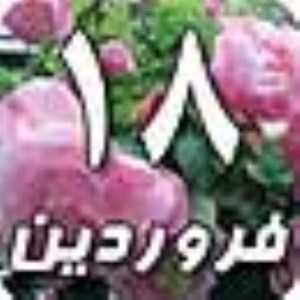 18 فروردین 1388 / 11 ربیع الثانی 1430 / 7 آوریل 2009