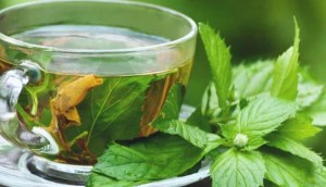 ۸ خاصیت چای پونه برای سلامتی