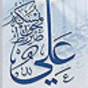 برنامه های حکومتی امام علی ( علیه السلام )