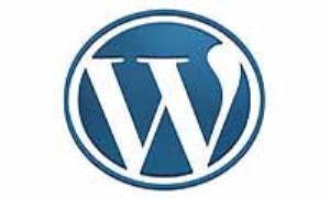 آموزش نصب wordpress به صورت local 