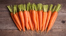 درباره هویج،خواص و مضرات آن چه میدانید؟
