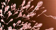 تاثیر نانوتکنولوژی بر عملکرد اسپرم