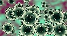 پزشکان و بیمارستان‌های ایران چقدر برای ویروس کرونا آمادگی دارند؟