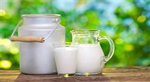 خواص بی‌نظیر شیر برای سلامت بدن