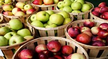 آشنایی با ویتامین های موجود در سیب