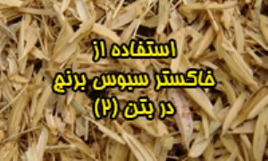 استفاده از خاکستر سبوس برنج در بتن (2)