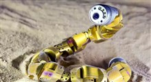 روباتیک الهام گرفته شده از زیست شناسی