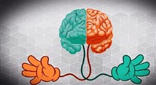چرا بیشتر افراد راست دست هستند؟ کدام بهتر است؟