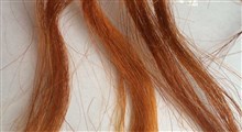 رنگ آمیزی مو با حنا