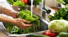اشتباهات خطرناک در شستن کاهو، کلم و سبزیجات