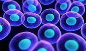 تحقیقات سلول های بنیادی - جوانب مثبت و منفی