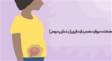 مراقبت های هفته دوازدهم بارداری (بخش دوم)