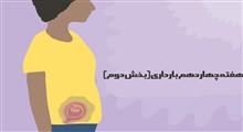 مراقبت های هفته چهاردهم بارداری (بخش دوم)
