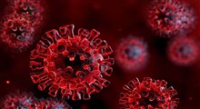 مقابله با اضطراب ناشی از ویروس کرونا (بخش دوم)