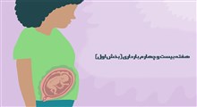 مراقبت های هفته بیست و چهارم بارداری (بخش اول)