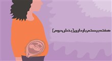 مراقبت های هفته بیستم بارداری (بخش دوم)