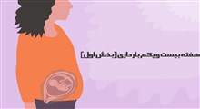 مراقبت های هفته بیست و یکم بارداری (بخش اول)