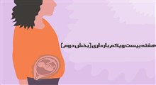 مراقبت های هفته بیست و یکم بارداری (بخش دوم)