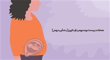 مراقبت های هفته بیست و سوم بارداری (بخش دوم)
