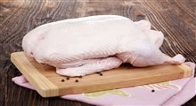 فواید گوشت اردک برای سلامتی (بخش دوم)