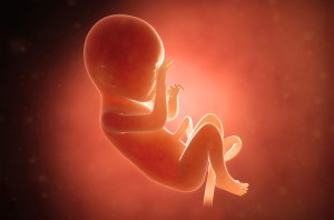 بررسی دلایل سقط جنین در زنان (بخش دوم)