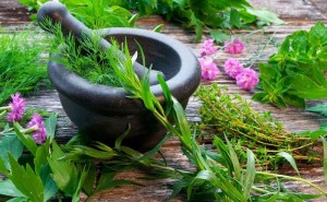درمان آسم با گیاهان دارویی