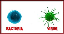 تفاوت عفونت های ویروسی و باکتریایی