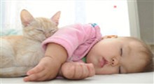 رابطه دوستانه بچه گربه و نوزاد انسان