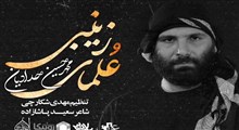 نواهنگ «علمای زینبی»/ محمدحسین حدادیان