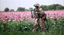 افغانستان؛ بزرگترین مرکز تولید مواد مخدر جهان