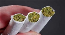 توقیف کامیون حامل سبزیجات با ۷۴ کیلوگرم ماده مخدر گل