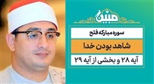 مبین | شاهد بودن خدا / محمود شحات انور