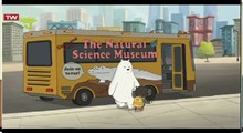 کارتون خرسهای کله فندقی | کلویی و خرس قطبی