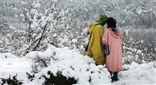 حال و روز خوش برف در شهرهای مختلف ایران