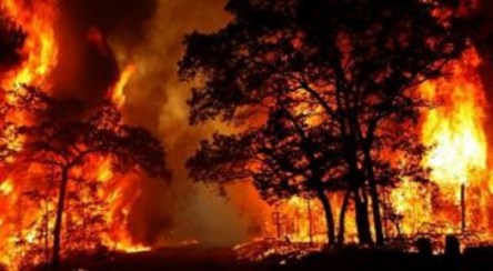 عبور آتشنشانان از جهنم آتش در استرالیا