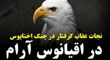 نجات عقاب گرفتار در چنگ هشت‌پا