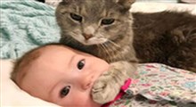 نجات کودک از مرگ توسط گربه!