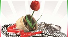 نماهنگ زیبای «گل سرخ»/ علی زند وکیلی