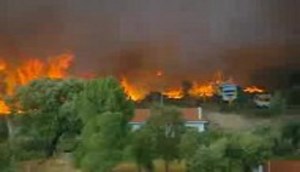 آتش سوزی در جنگل های پرتغال 9 نفر زخمی شدند.
