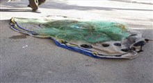 ماهیگیران غیر مجاز سد کوچری گلپایگان در تور محیط‌بانان