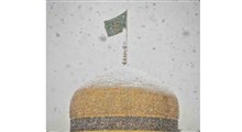 برف روی گنبد/علی پوستین دوز/شهادت امام رضا