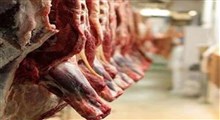 عرضه گوشت وارداتی تا چه زمانی ادامه خواهد داشت؟