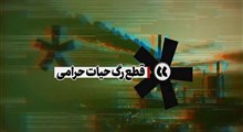 نماهنگ | قطع رگ حیات حرامی