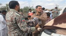 سپاه و ارتش پای کار سیستان و بلوچستان