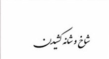 ضرب‌المثل شاخ و شانه کشیدن به معنای چیست؟!