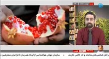 تازه ترین اقدام جریان اعتراضات در ایران!