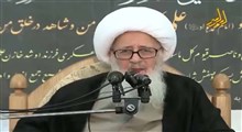 اهمیت عزاداری شهادت امام هادی(ع)/ آیت الله وحید خراسانی