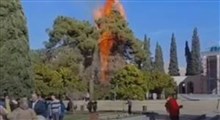 آتش سوزی آرامگاه سعدی